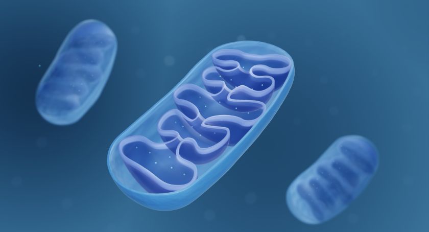 Blue Helix Health to Present New Research on NAD at FASEB Conference